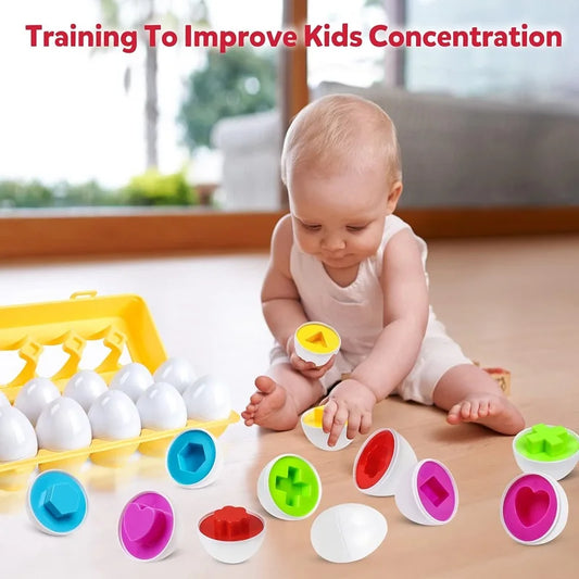 Montessori Color Matching Egg Toy for Toddlers